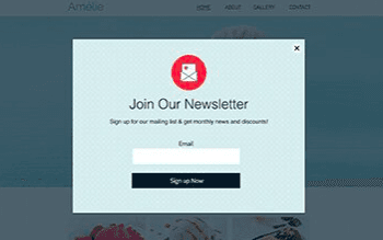 Newsletter signup pop-up with email field, Sign up button, and close icon on a blue website background