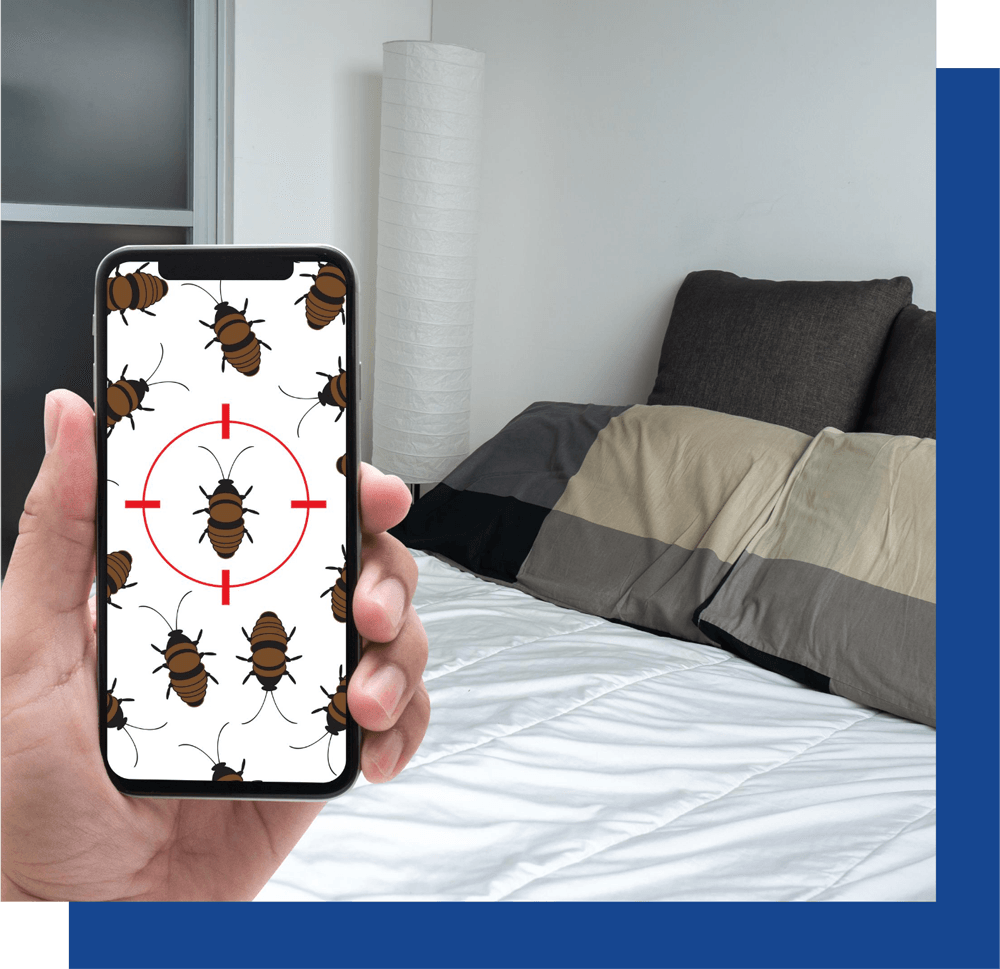 Bed-Bug-Target