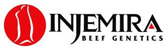 injemira