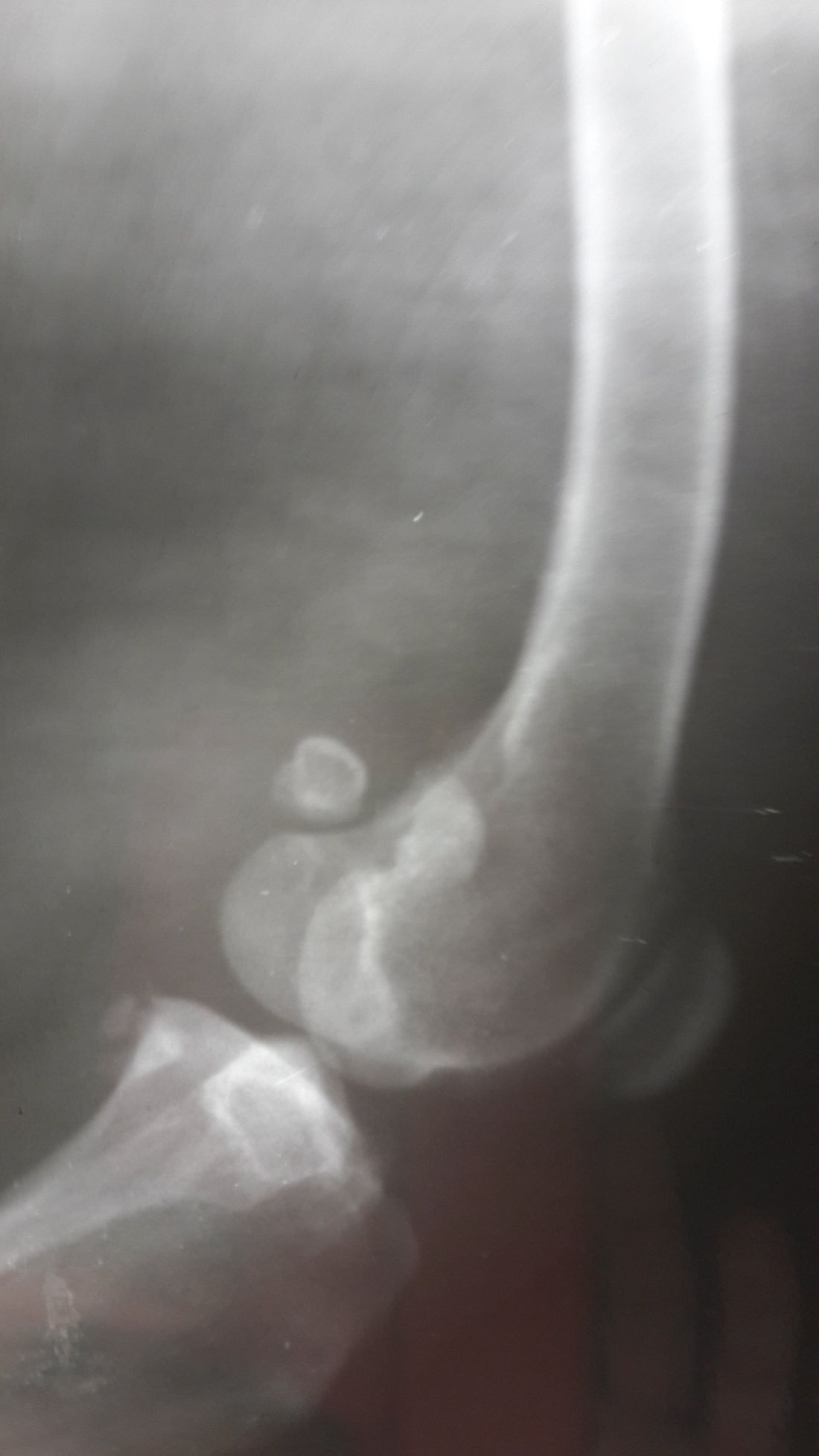 diagnostica per immagini