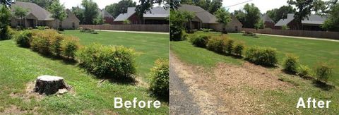 stump grinding and removal equipment placed near driveway