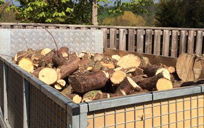 logs neatly cut and places on a big storage area