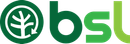 bsl logo