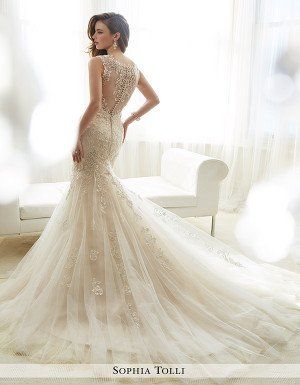 Amie sophia tolli