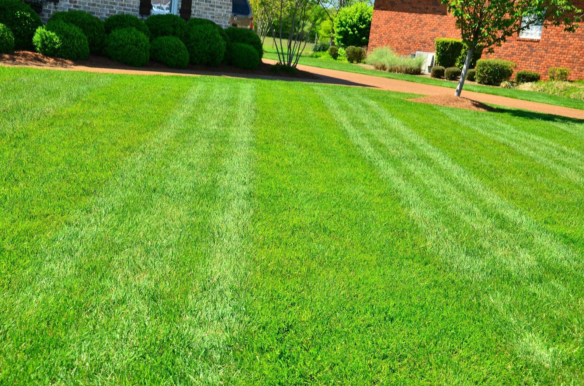 Don't wait! Call us now! Freshly mowed lawn.