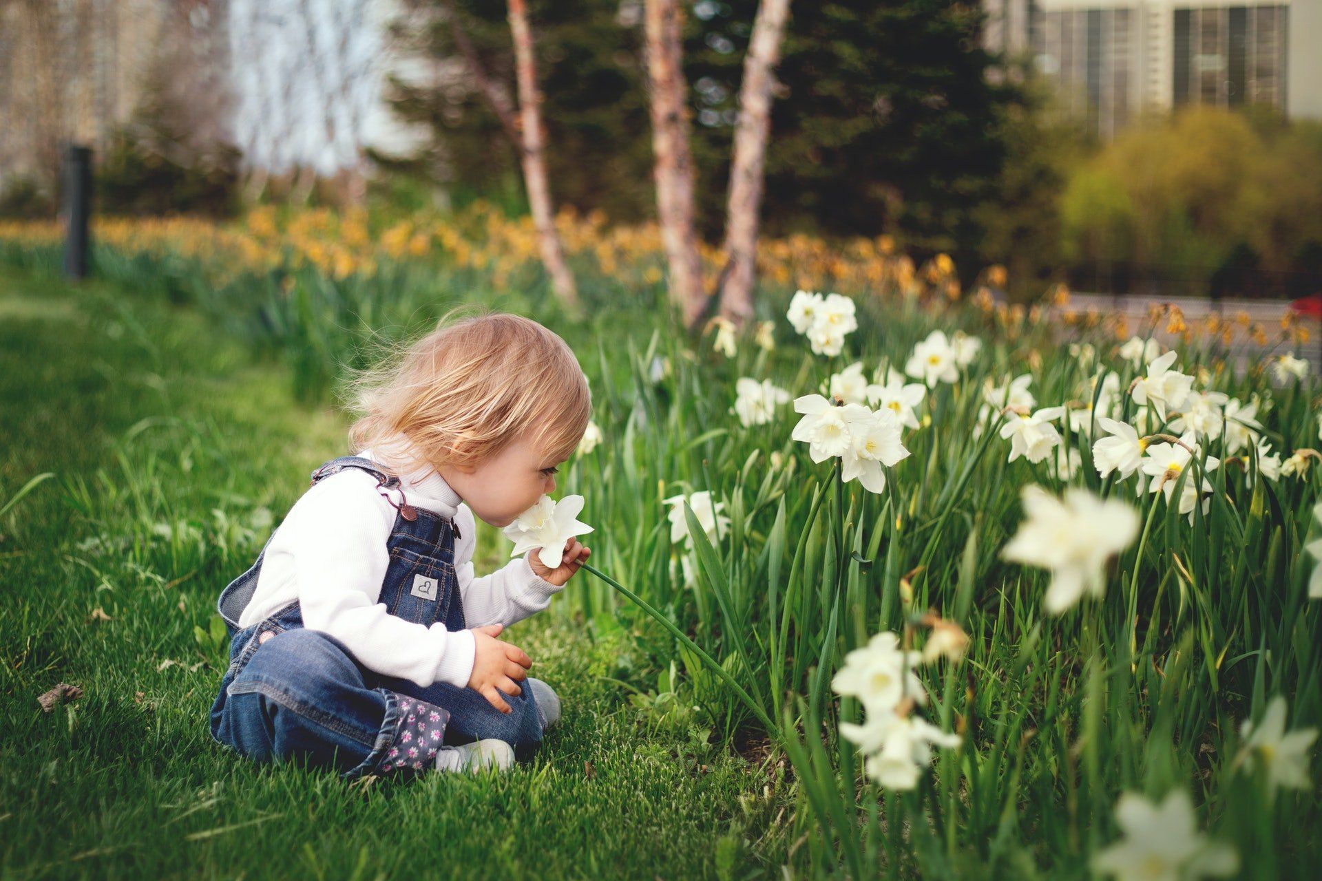 Don't wait! Call us now! Small toddler child sitting in the grass smelling white flowers.