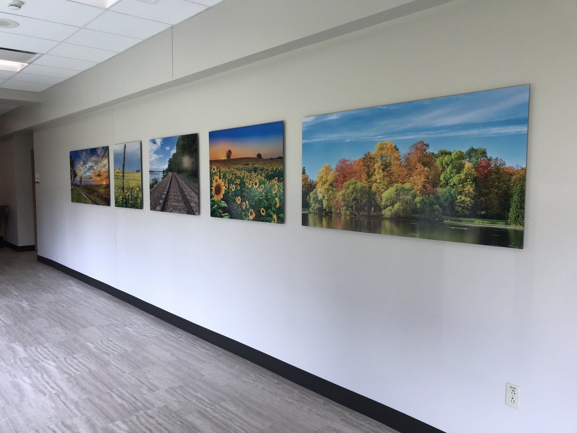 A hallway with a row of paintings on the wall