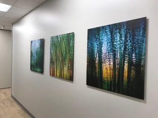 Three paintings of trees are hanging on a wall in a hallway.