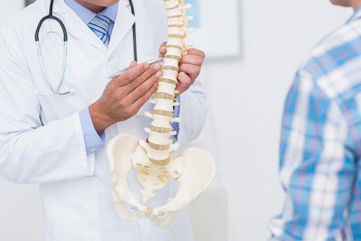 Doctor Showing Anatomical Spine — Therapeutic Massage in Quakertown, PA Doctor Showing Anatomical Spine — Therapeutic Massage in Quakertown, PA