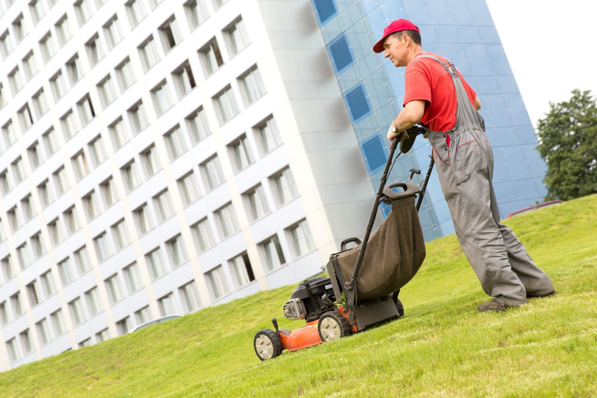 Cafferky Landscaping