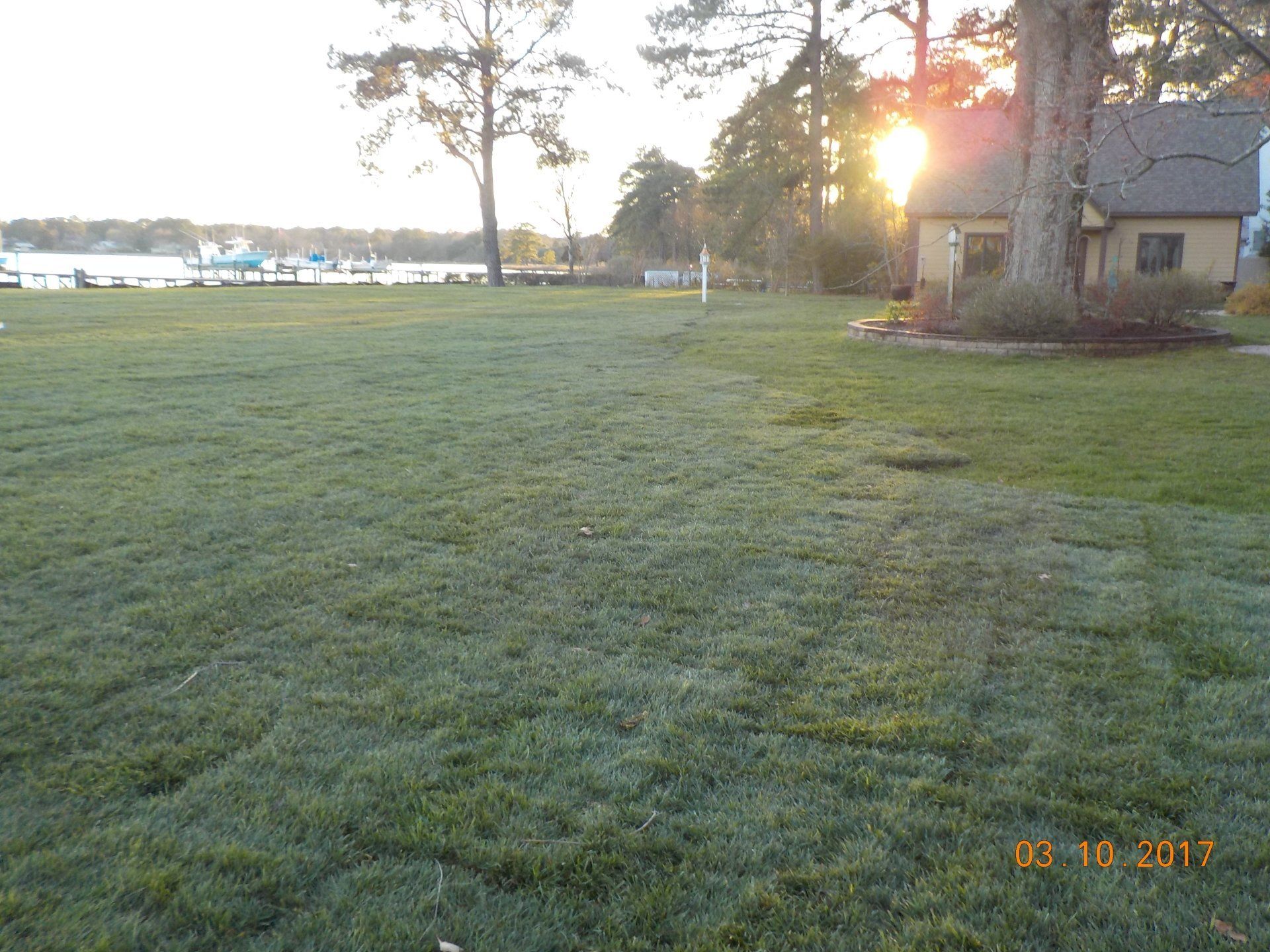 Decks Service — Grass Field With Large Tree in Shacklefords, VA