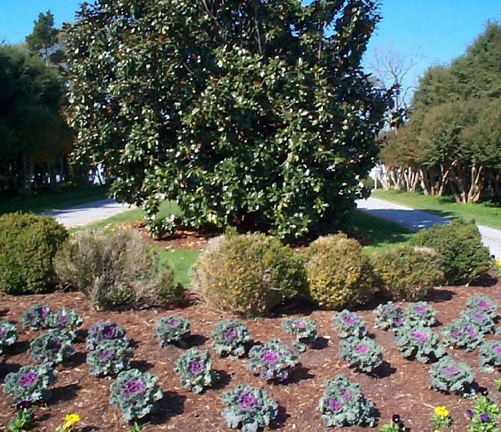 Remodeling Service — Bushes in Shacklefords, VA