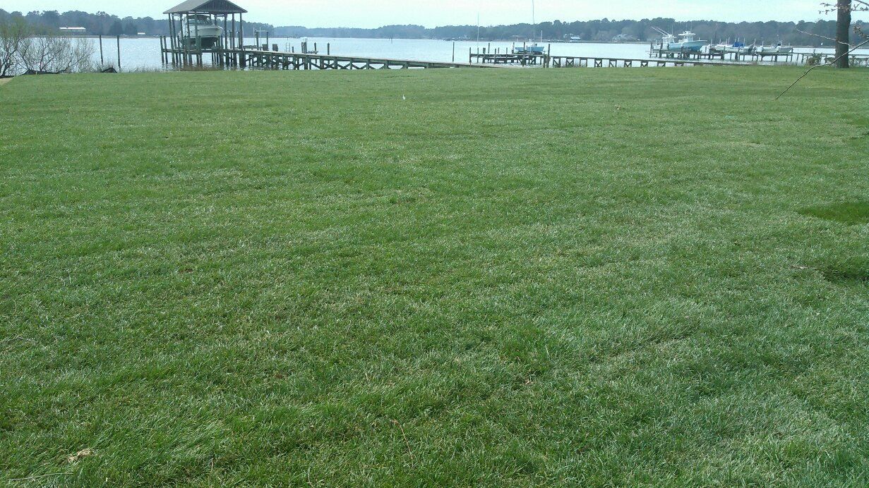 Patios Remodeling — Wide Plain Lot in Shacklefords, VA