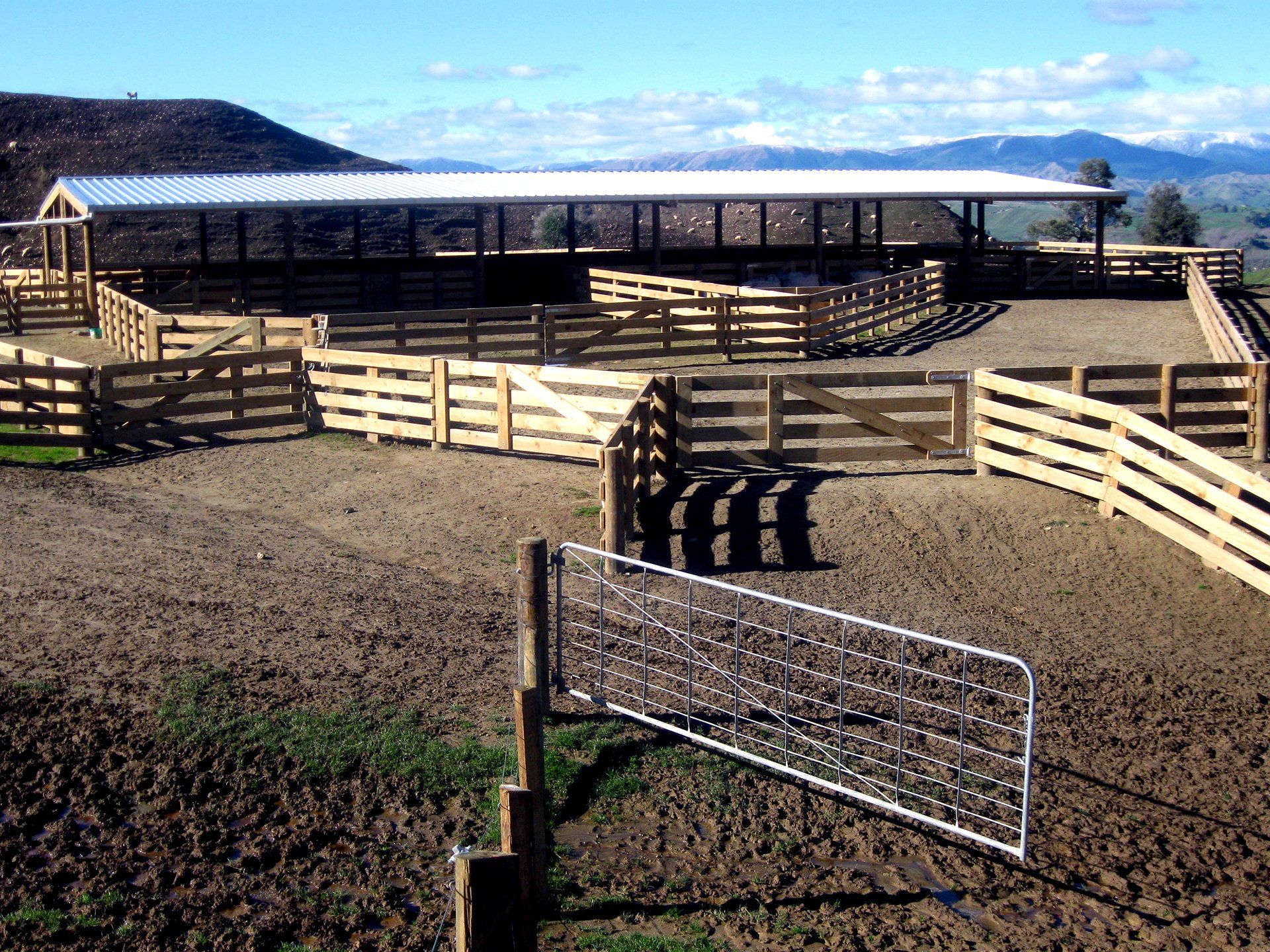 A large, multi-section wooden livestock corral with a covered area, set in an open field under a sunny sky.