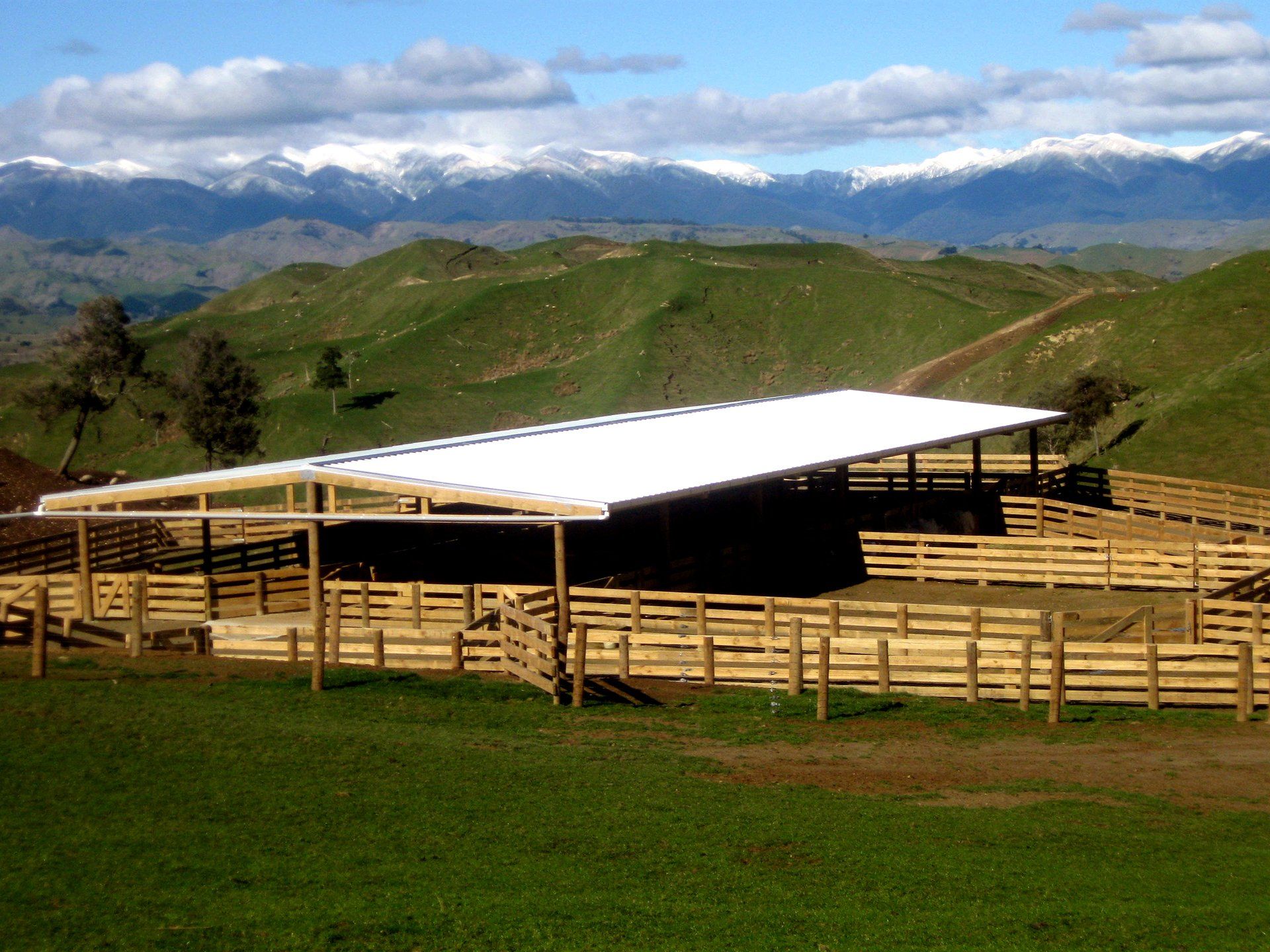 A large, open-sided structure with a white roof sits in a fenced paddock against a backdrop of snow-capped mountains.