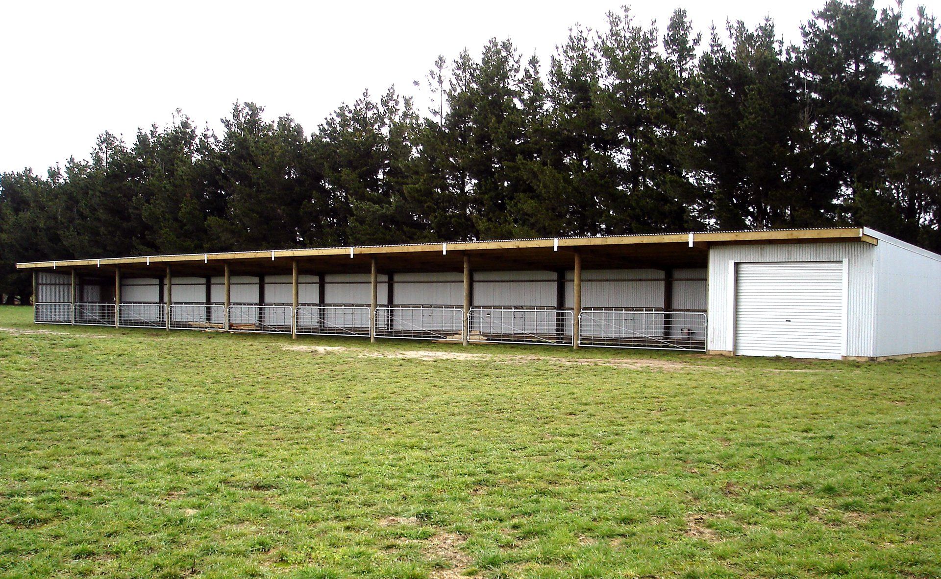 A long, white, metal shed with multiple open bays stands in a grassy field in front of a row of dark green pine trees.