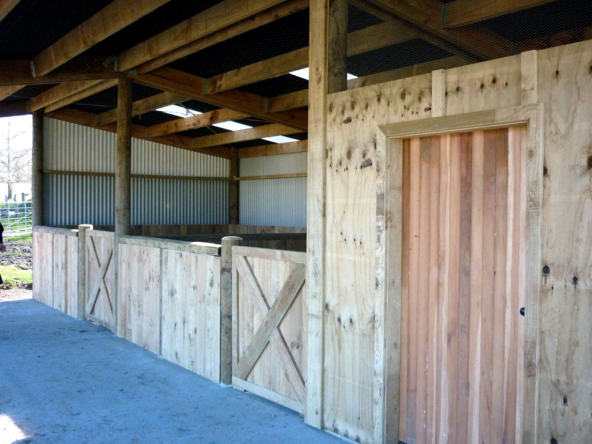 A wooden horse stable with vertical wood paneling and metal roof siding on a concrete floor.