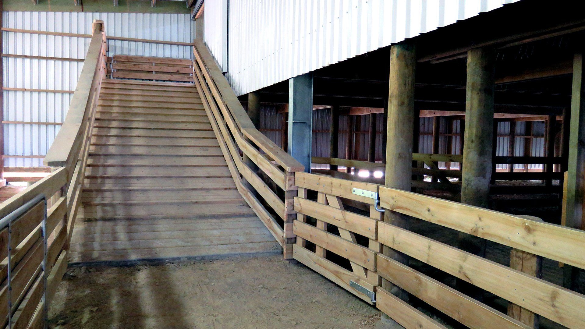 A wooden livestock ramp with railings leading up into a barn structure with open animal pens.