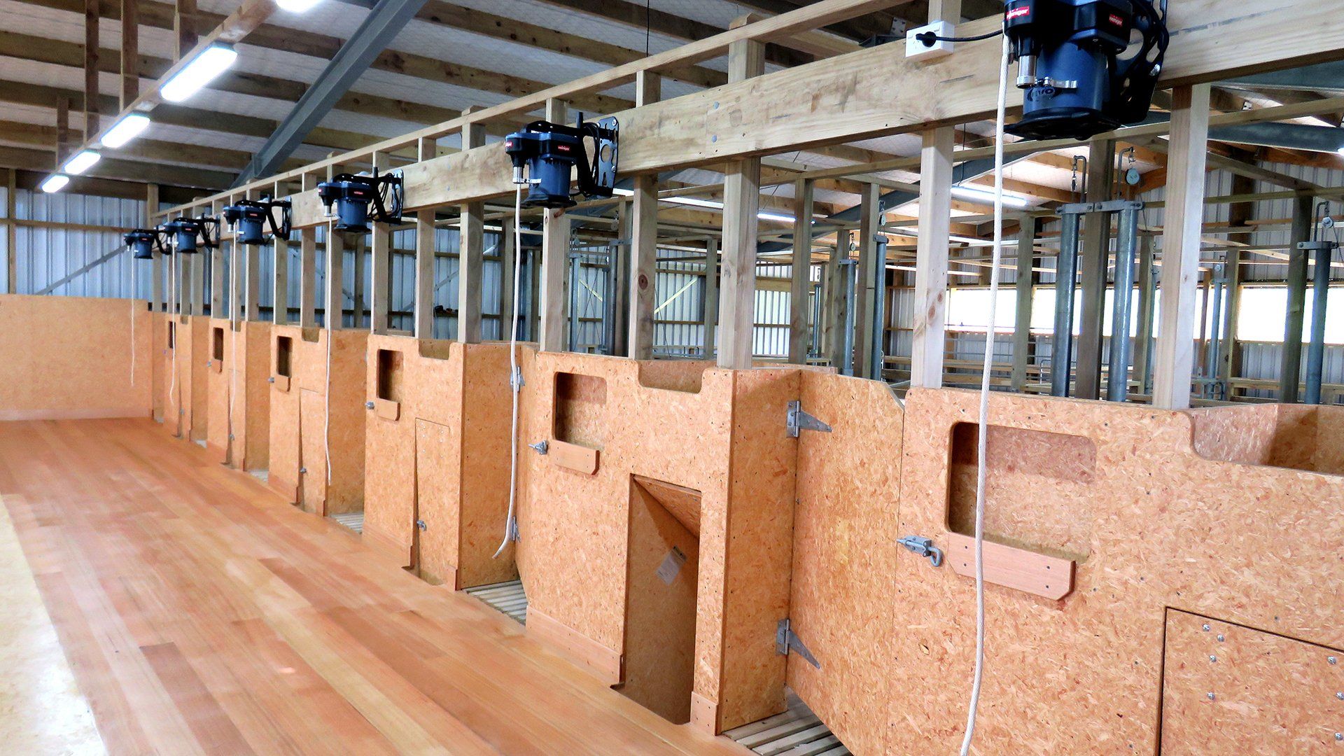 A row of horse stalls inside a barn, featuring wooden walls, swinging gates, and overhead ventilation fans.