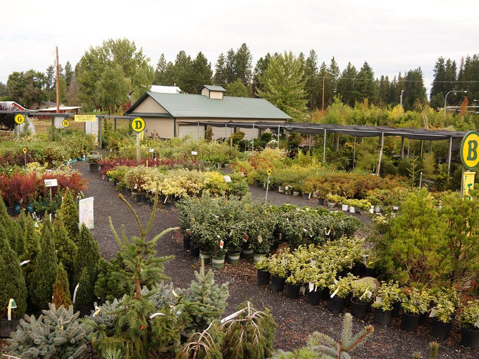 Lot D at Smart Gardens Nursery