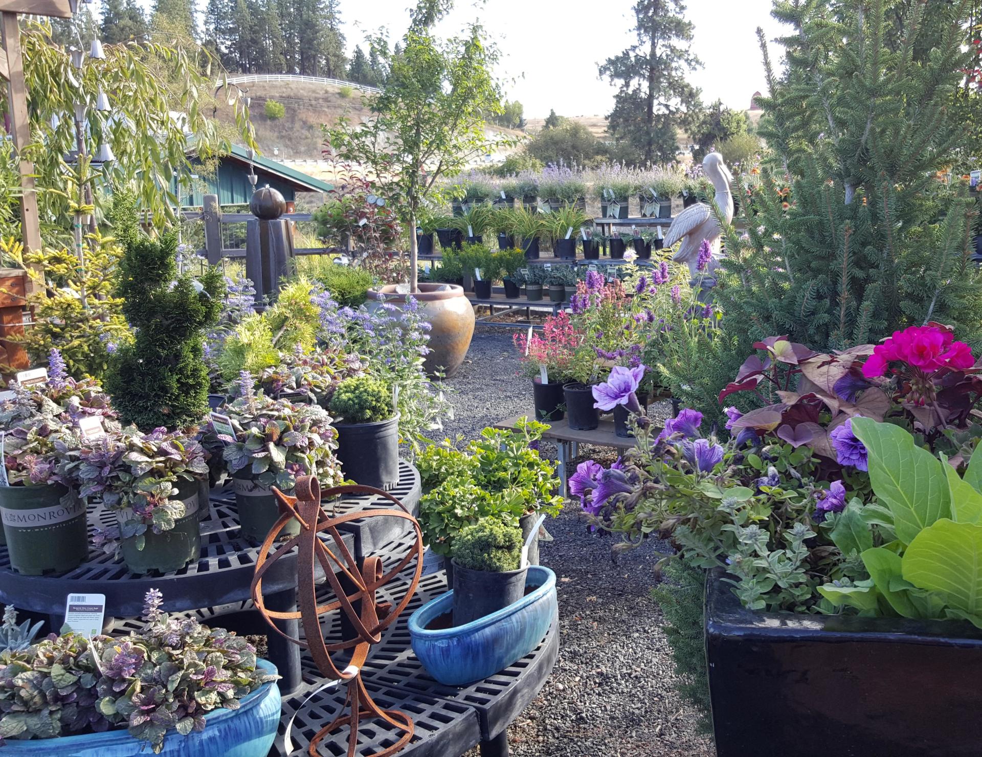 Floral at Smart Gardens Nursery
