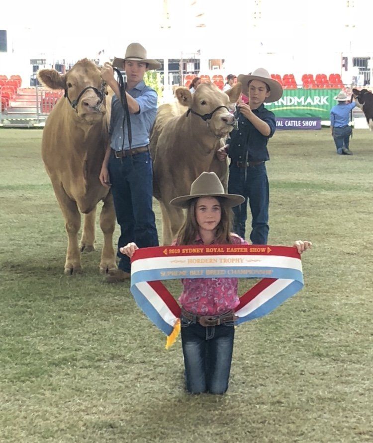 A girl in a cowboy hat kneeling in front of two cows and two men