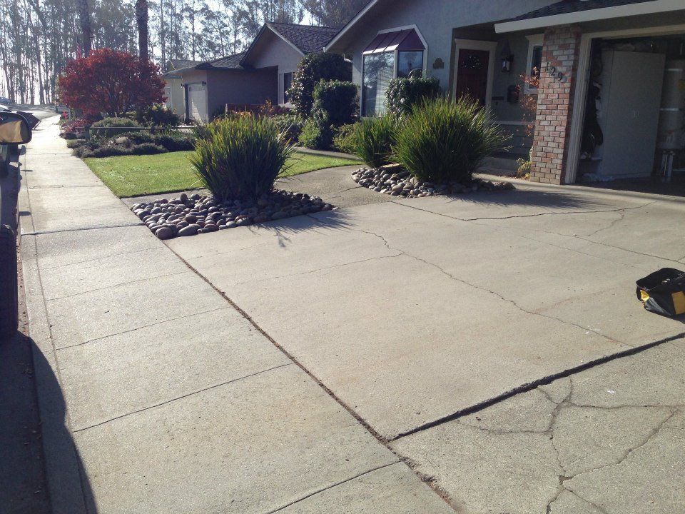 Drive Way — Santa Cruz, CA — Quilici Gardening