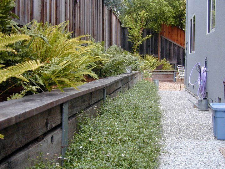 Garden Beside The House — Santa Cruz, CA — Quilici Gardening