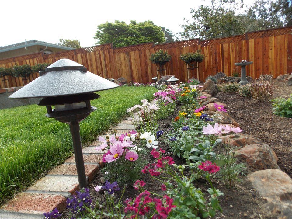Flowers In The Garden — Santa Cruz, CA — Quilici Gardening