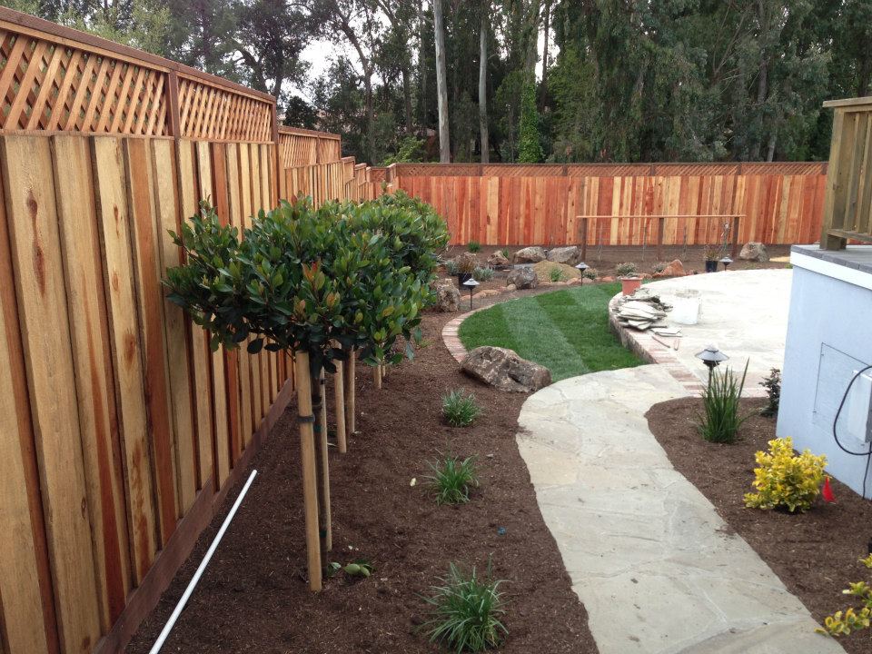 After Installing The Wooden Fence — Santa Cruz, CA — Quilici Gardening