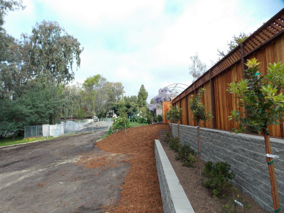 Half Brick And Half Wood Fence — Santa Cruz, CA — Quilici Gardening