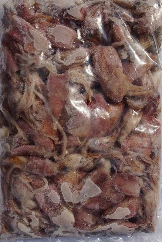 USA Squid — Master Bait & Tackle in Palmerston, NT