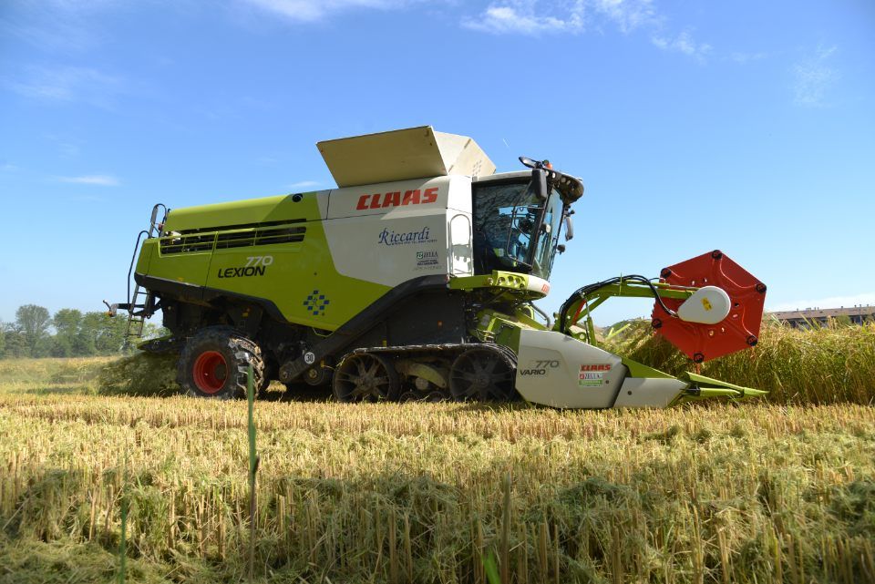 servizi per l'agricoltura