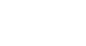 White Logo