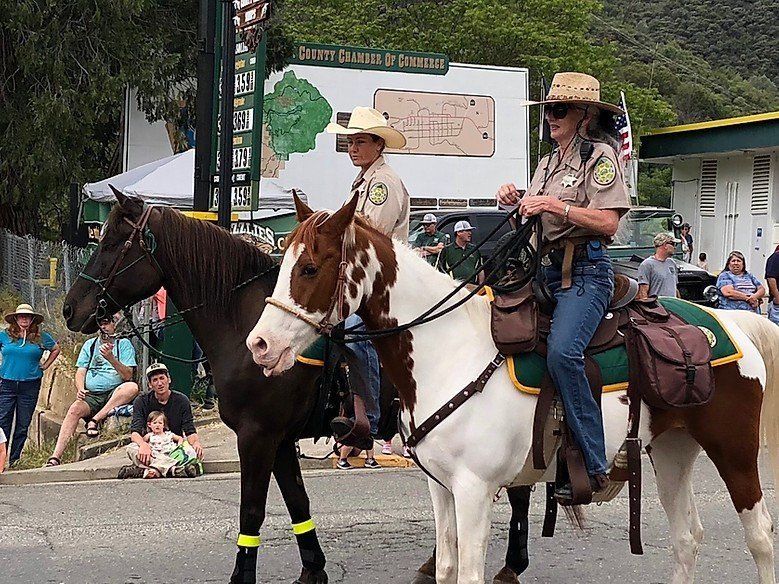 horses and 