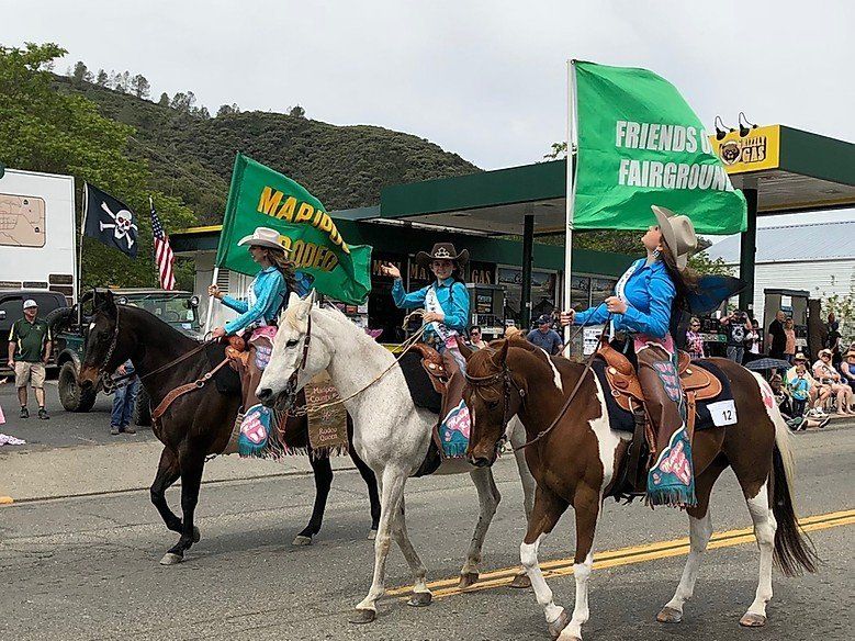 4-H riders and horses in the parade
