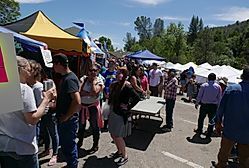 people walking in a crowd