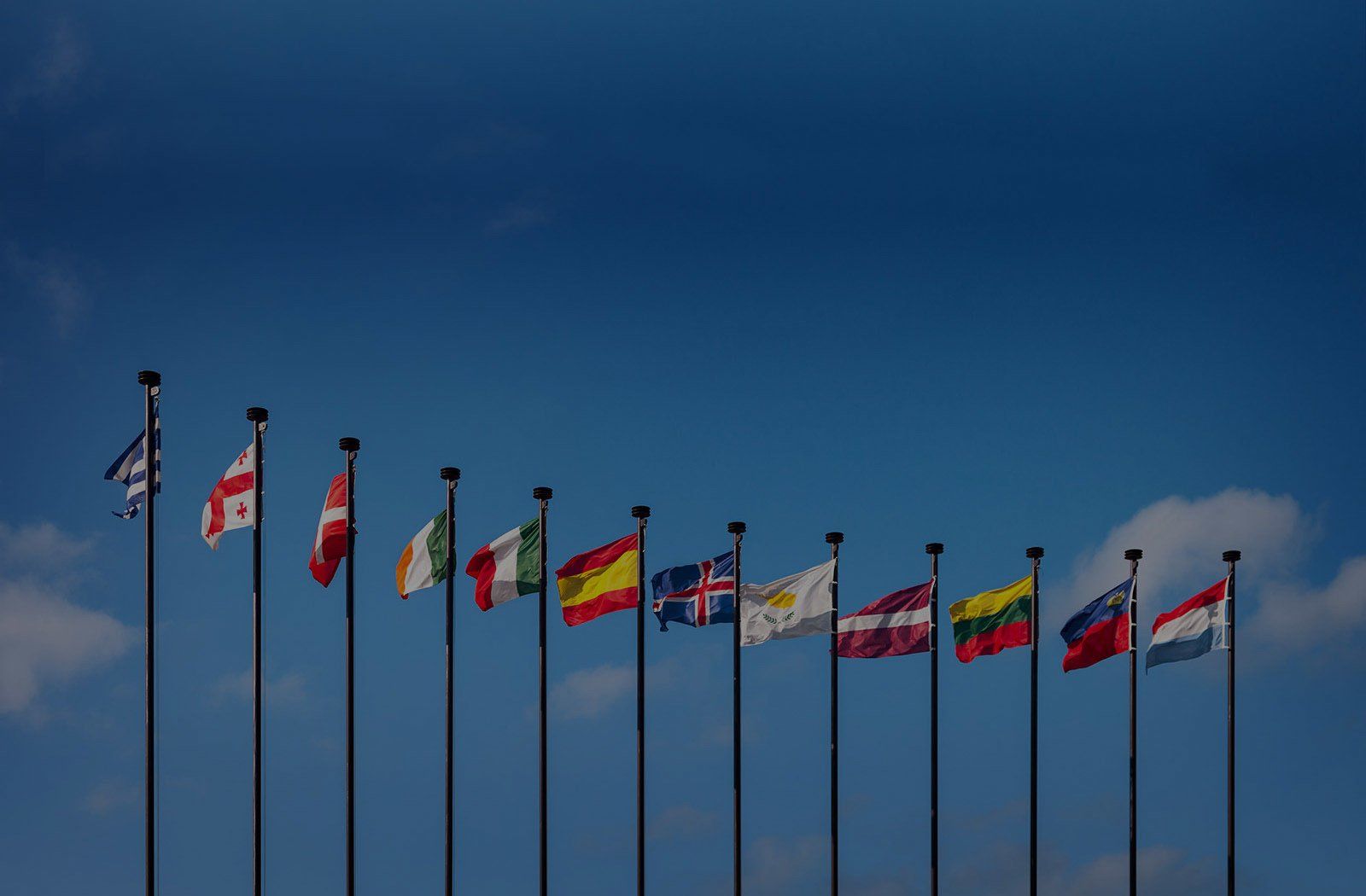 We Help Businesses Succeed Globally