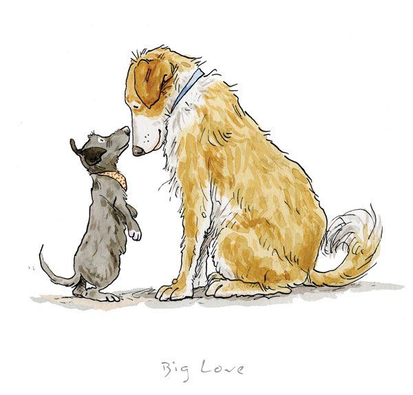 Big Love - Anita Jeram