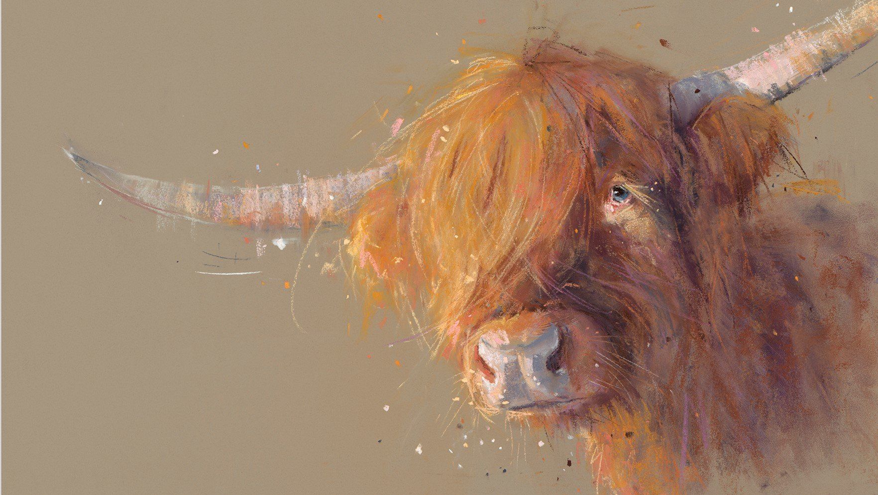 Big Softy  - Nicky Litchfield