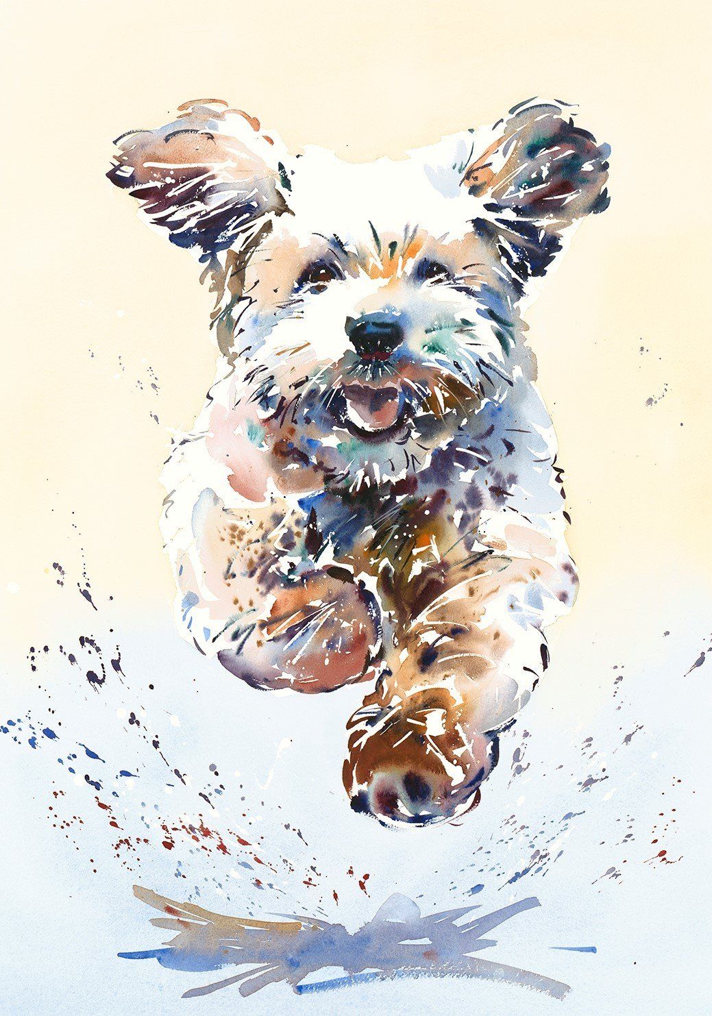 Bounding Cockapoo - Jake Winkle