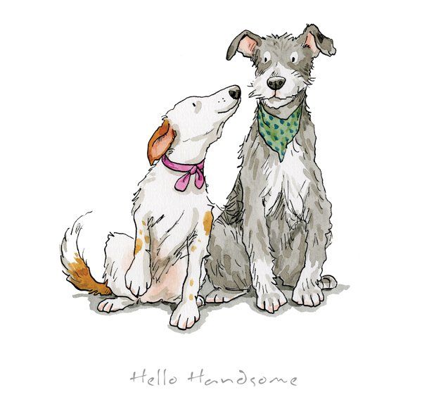 Hello Handsome - Anita Jeram