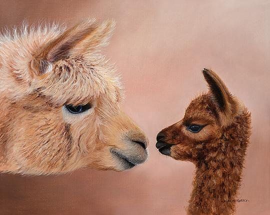 Hello Mum - Alex McGarry