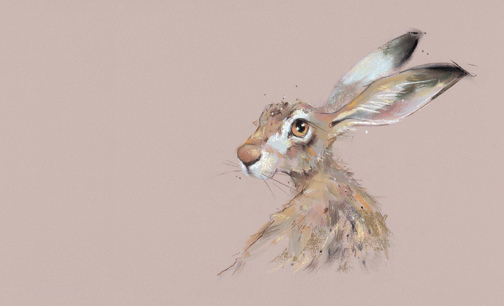 Hermoine - Nicky Litchfield
