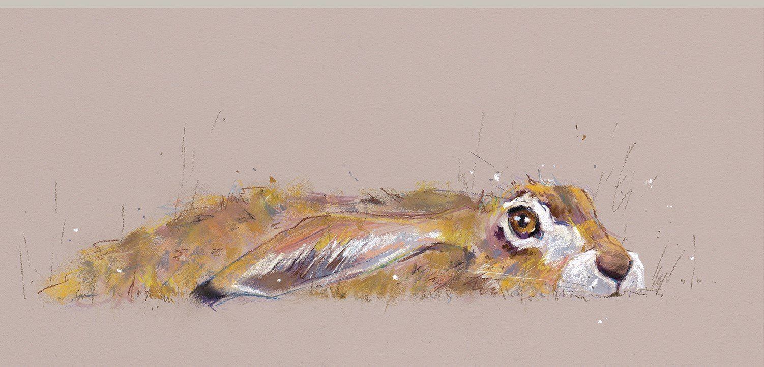 Hideaway Hare - Nicky Litchfield
