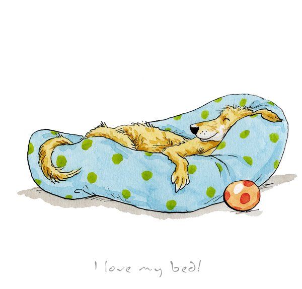 I Love My Bed - Anita Jeram