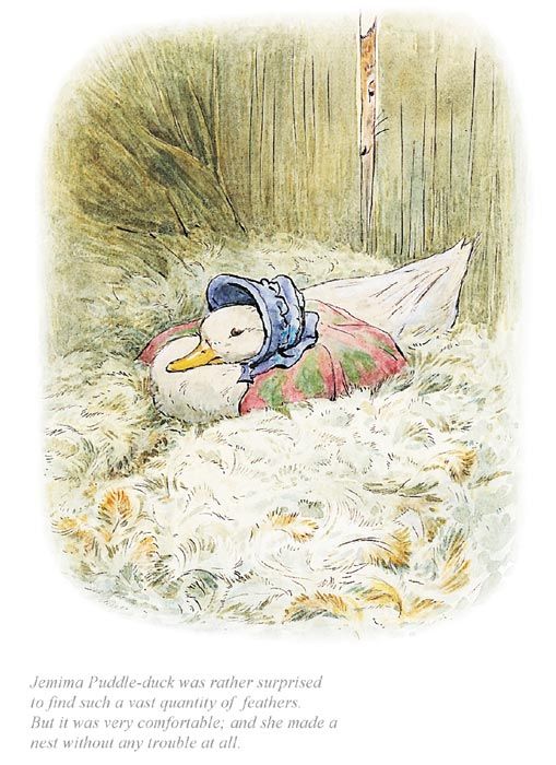 Jemima -Beatrix Potter