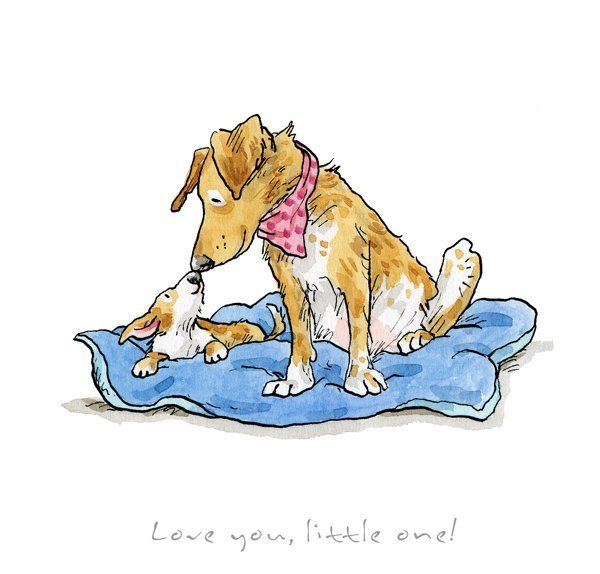 Love You Little One - Anita Jeram