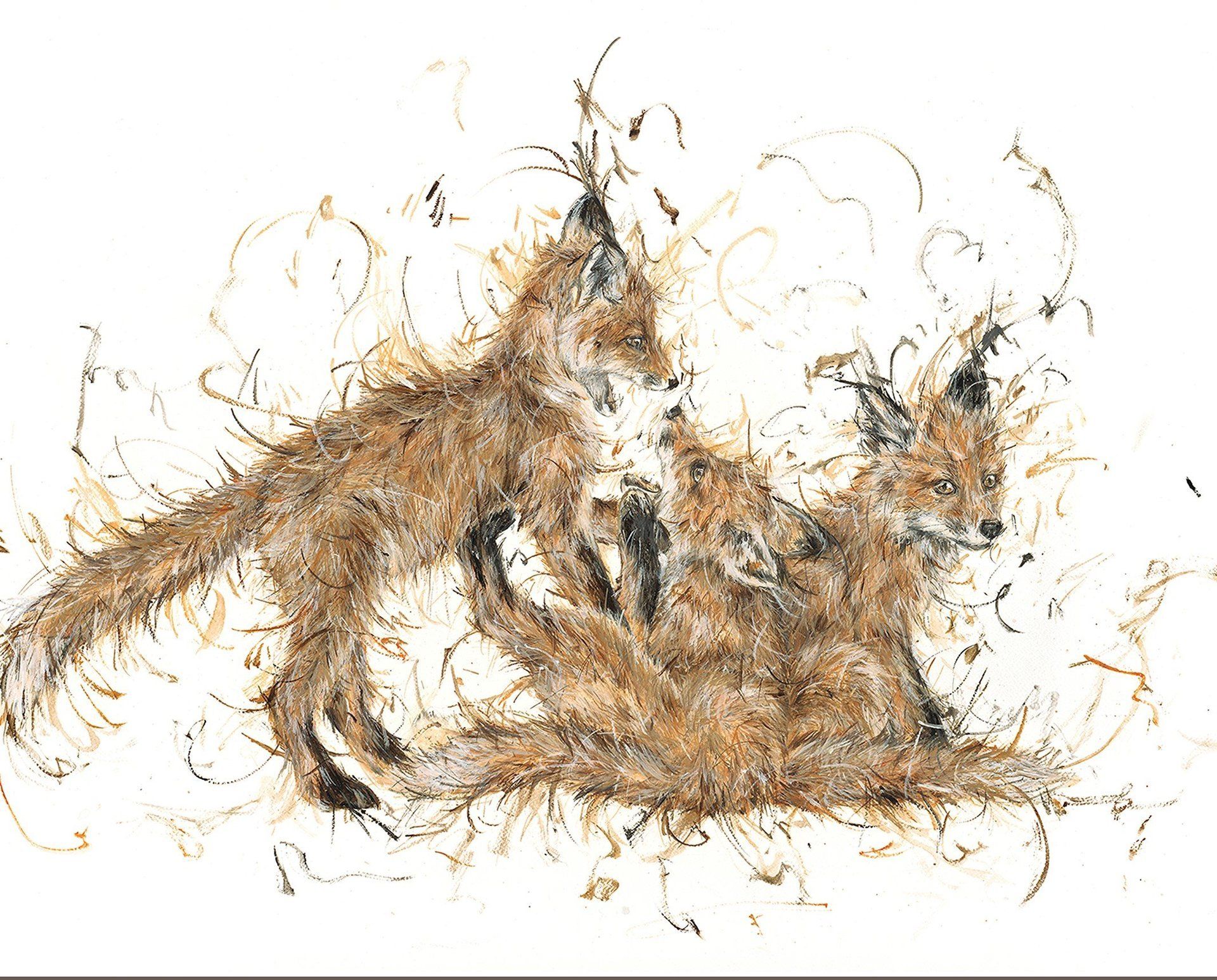 fox playing