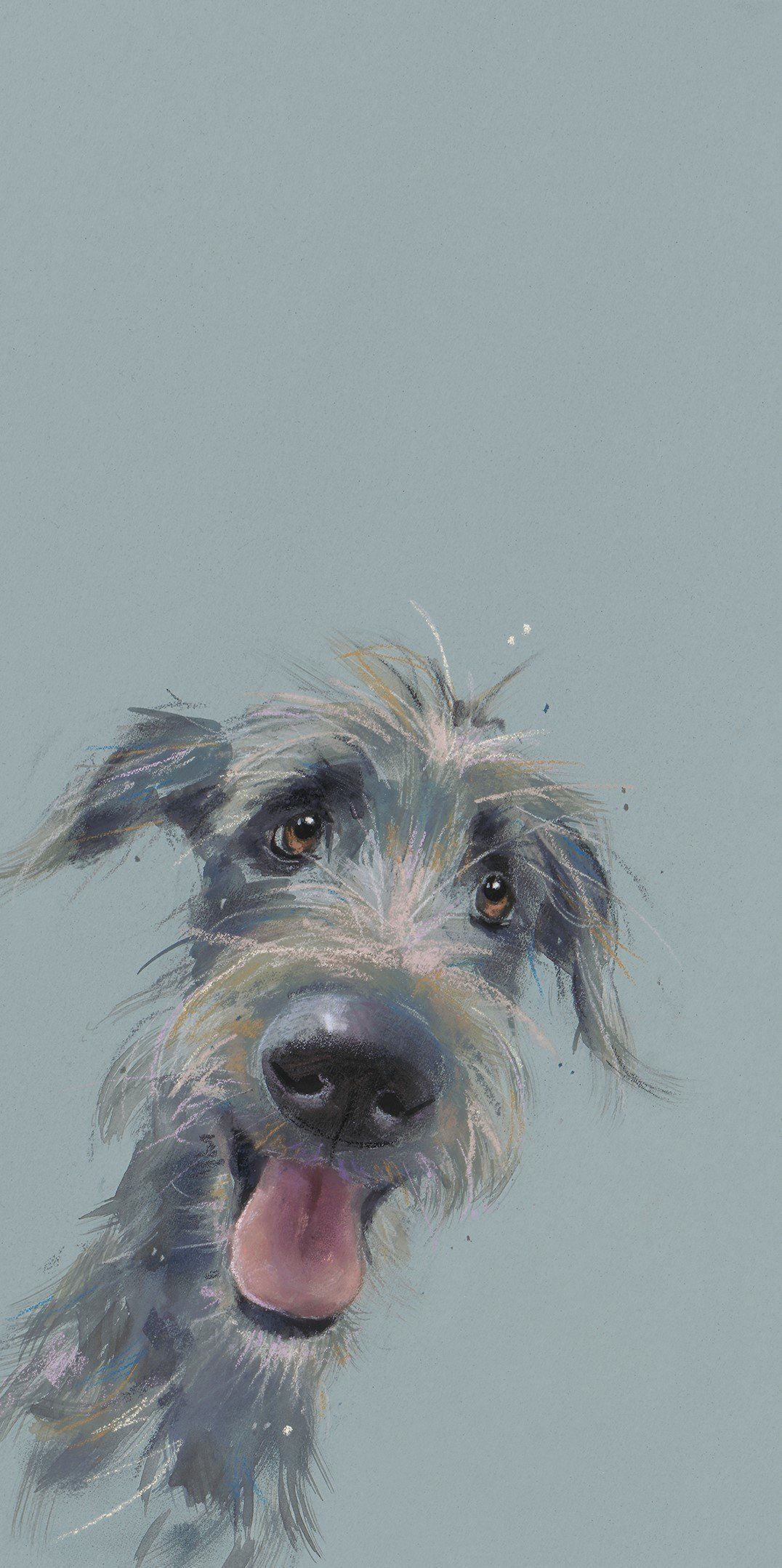 Scruffy Mutt - Nicky Litchfield